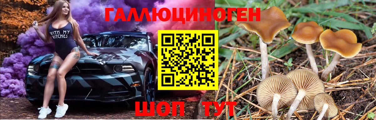 Галлюциногенные грибы мухоморы Большой Камень